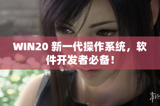 WIN20 新一代操作系统，软件开发者必备！
