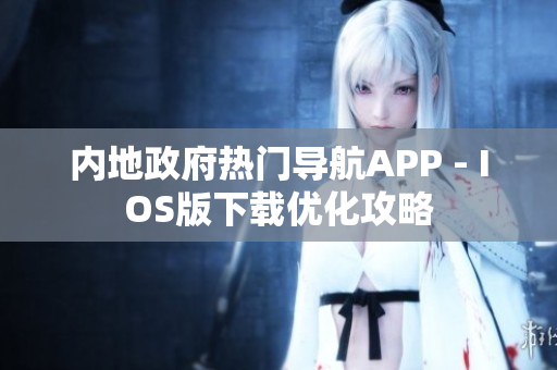 内地政府热门导航APP - IOS版下载优化攻略