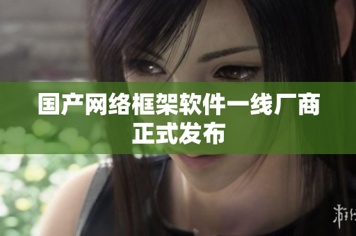 国产网络框架软件一线厂商正式发布