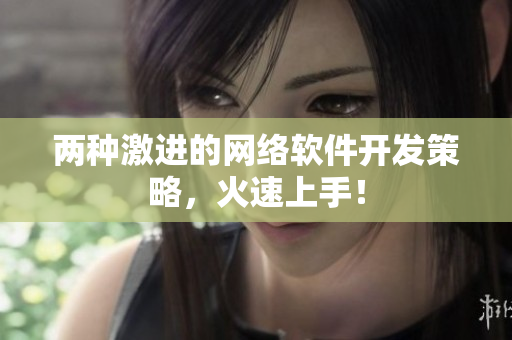 两种激进的网络软件开发策略，火速上手！