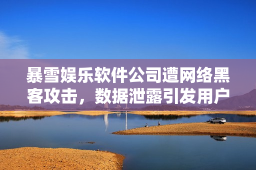 暴雪娱乐软件公司遭网络黑客攻击，数据泄露引发用户担忧