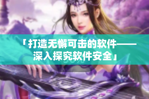 「打造无懈可击的软件——深入探究软件安全」