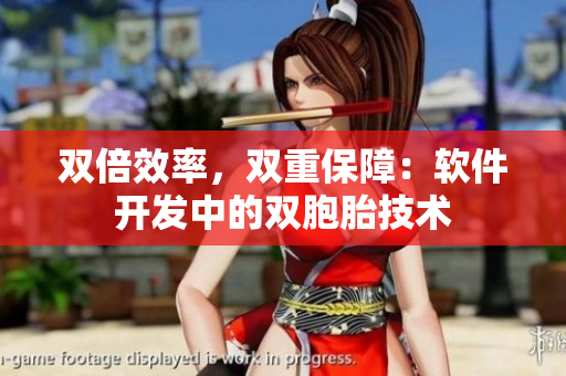 双倍效率，双重保障：软件开发中的双胞胎技术