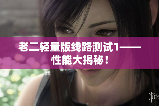 老二轻量版线路测试1——性能大揭秘！