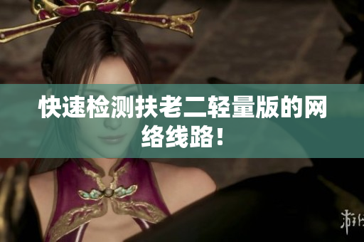 快速检测扶老二轻量版的网络线路！
