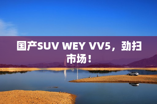 国产SUV WEY VV5，劲扫市场！