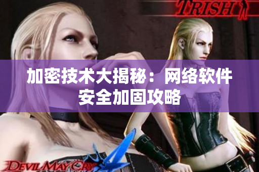 加密技术大揭秘：网络软件安全加固攻略