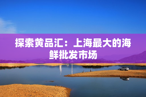 探索黄品汇：上海最大的海鲜批发市场
