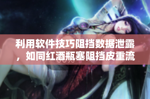 利用软件技巧阻挡数据泄露，如同红酒瓶塞阻挡皮重流失