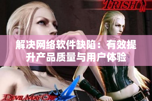 解决网络软件缺陷：有效提升产品质量与用户体验