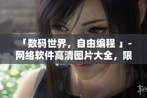 「数码世界，自由编程 」- 网络软件高清图片大全，限时下载！