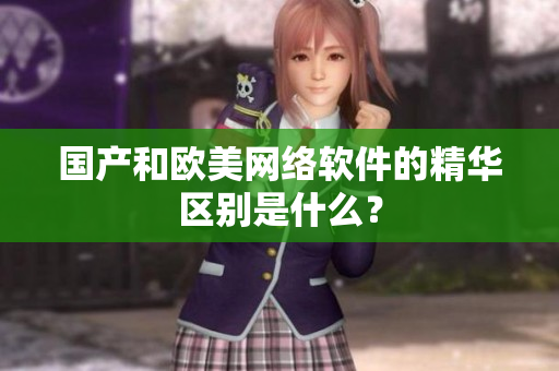 国产和欧美网络软件的精华区别是什么？