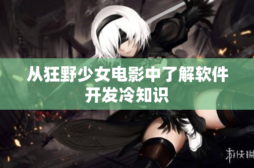 从狂野少女电影中了解软件开发冷知识