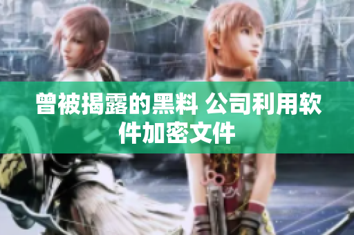 曾被揭露的黑料 公司利用软件加密文件