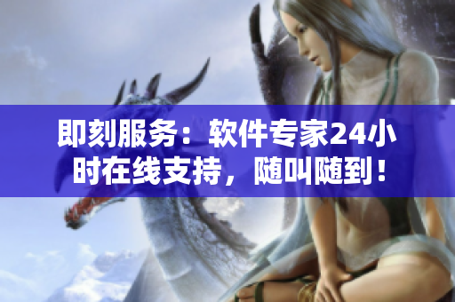 即刻服务：软件专家24小时在线支持，随叫随到！