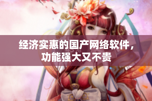 经济实惠的国产网络软件，功能强大又不贵