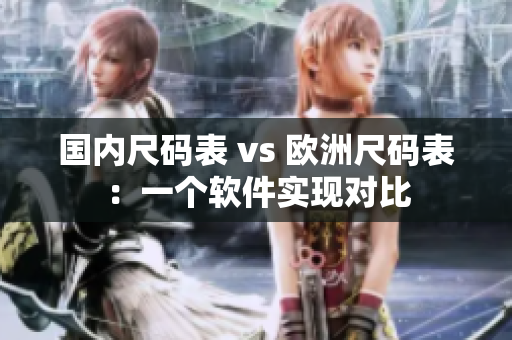 国内尺码表 vs 欧洲尺码表：一个软件实现对比