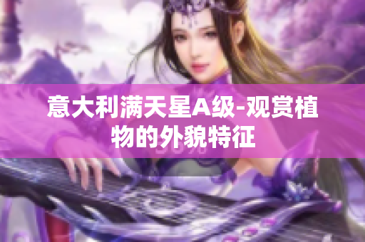 意大利满天星A级-观赏植物的外貌特征