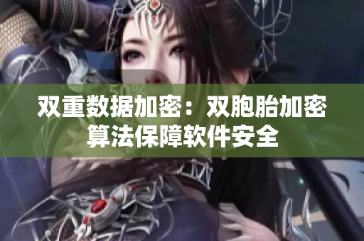 双重数据加密：双胞胎加密算法保障软件安全