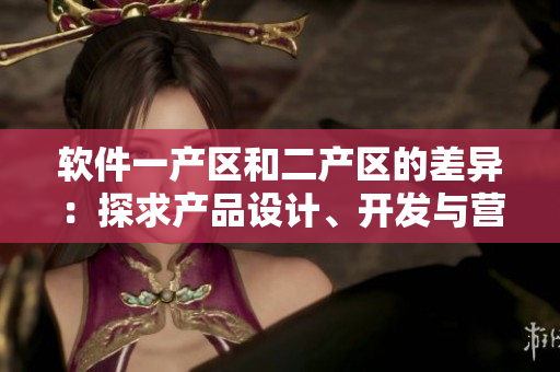 软件一产区和二产区的差异：探求产品设计、开发与营销的不同策略