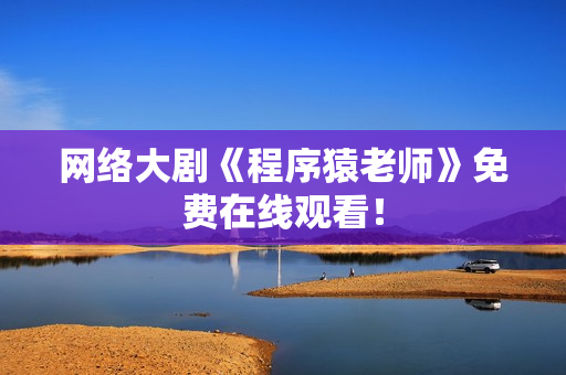 网络大剧《程序猿老师》免费在线观看！