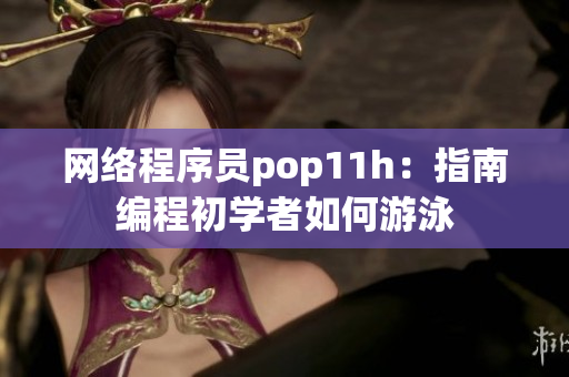网络程序员pop11h：指南编程初学者如何游泳