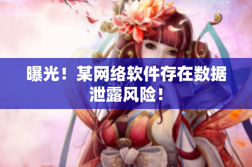 曝光！某网络软件存在数据泄露风险！
