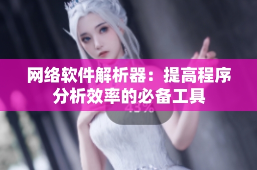 网络软件解析器：提高程序分析效率的必备工具