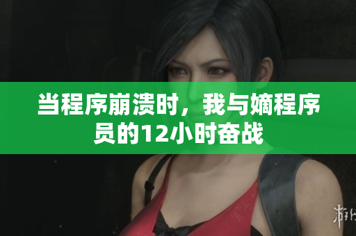 当程序崩溃时，我与嫡程序员的12小时奋战