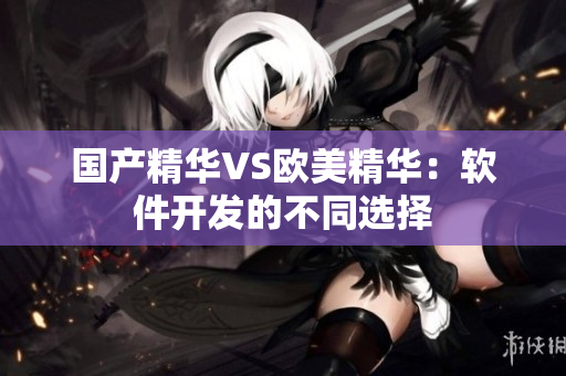国产精华VS欧美精华：软件开发的不同选择