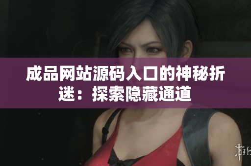 成品网站源码入口的神秘折迷：探索隐藏通道
