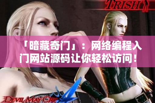 「暗藏奇门」：网络编程入门网站源码让你轻松访问！