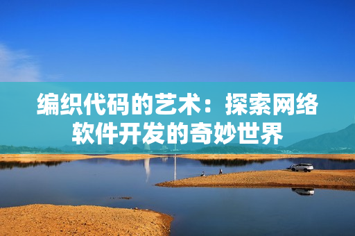 编织代码的艺术：探索网络软件开发的奇妙世界