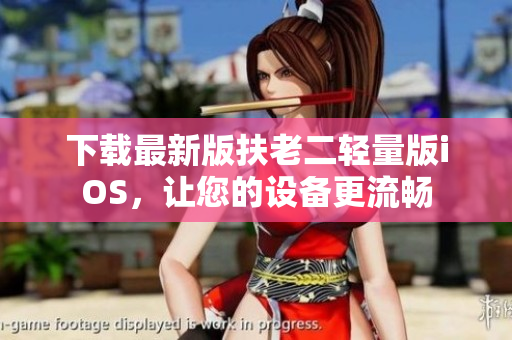 下载最新版扶老二轻量版iOS，让您的设备更流畅