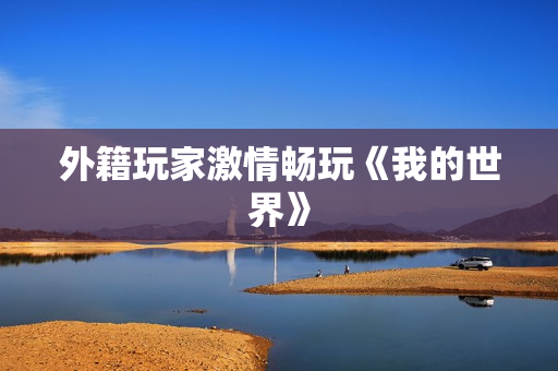 外籍玩家激情畅玩《我的世界》