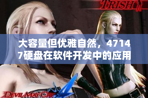 大容量但优雅自然，47147硬盘在软件开发中的应用