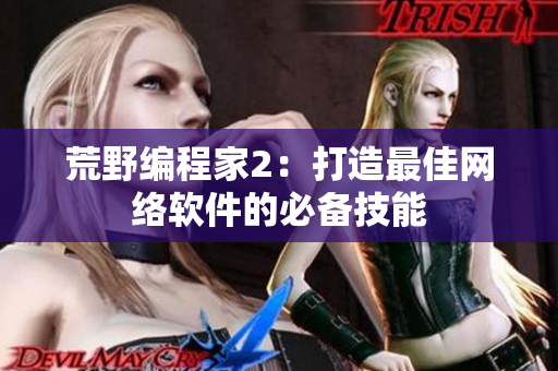 荒野编程家2：打造最佳网络软件的必备技能