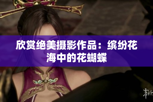 欣赏绝美摄影作品：缤纷花海中的花蝴蝶