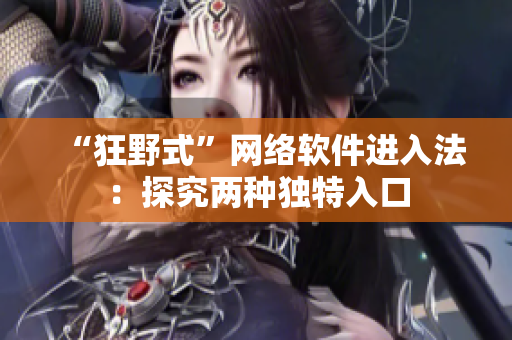 “狂野式”网络软件进入法：探究两种独特入口