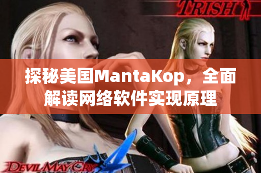探秘美国MantaKop，全面解读网络软件实现原理