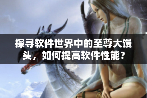 探寻软件世界中的至尊大馒头，如何提高软件性能？