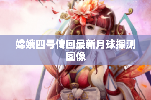 嫦娥四号传回最新月球探测图像