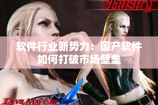 软件行业新势力：国产软件如何打破市场壁垒