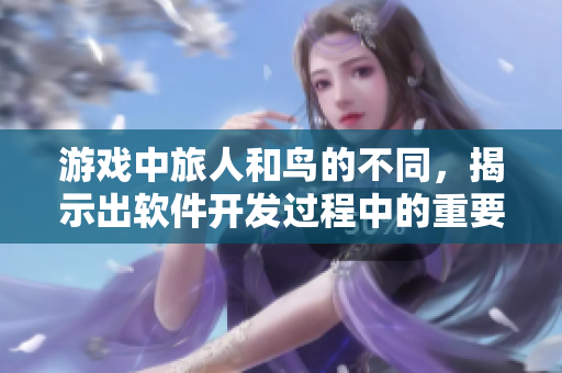 游戏中旅人和鸟的不同，揭示出软件开发过程中的重要性