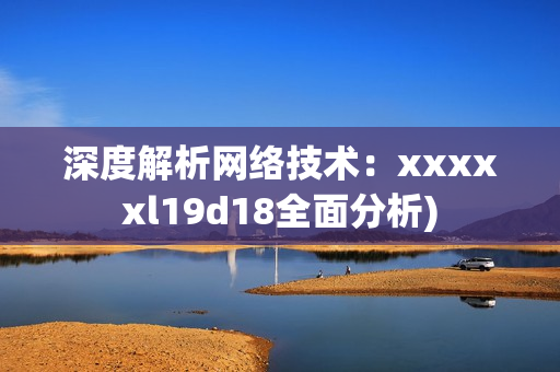 深度解析网络技术：xxxxxl19d18全面分析)