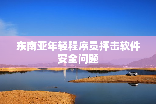东南亚年轻程序员抨击软件安全问题