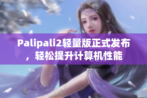 Palipali2轻量版正式发布，轻松提升计算机性能