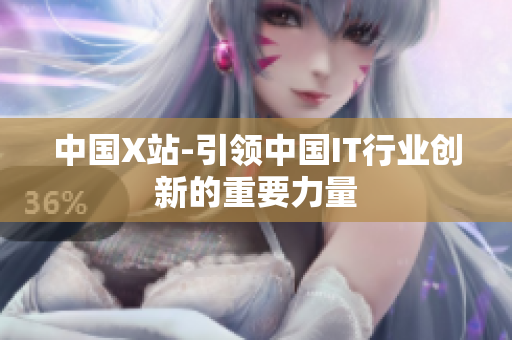 中国X站-引领中国IT行业创新的重要力量