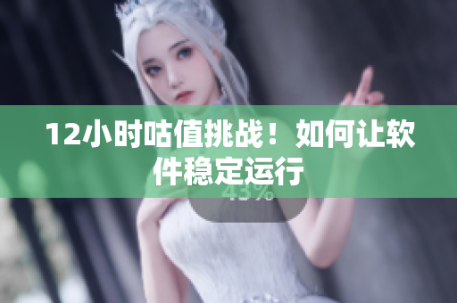 12小时咕值挑战！如何让软件稳定运行