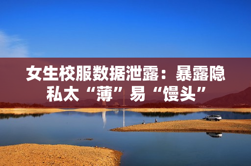 女生校服数据泄露：暴露隐私太“薄”易“馒头”